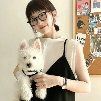 鸡同鸭讲